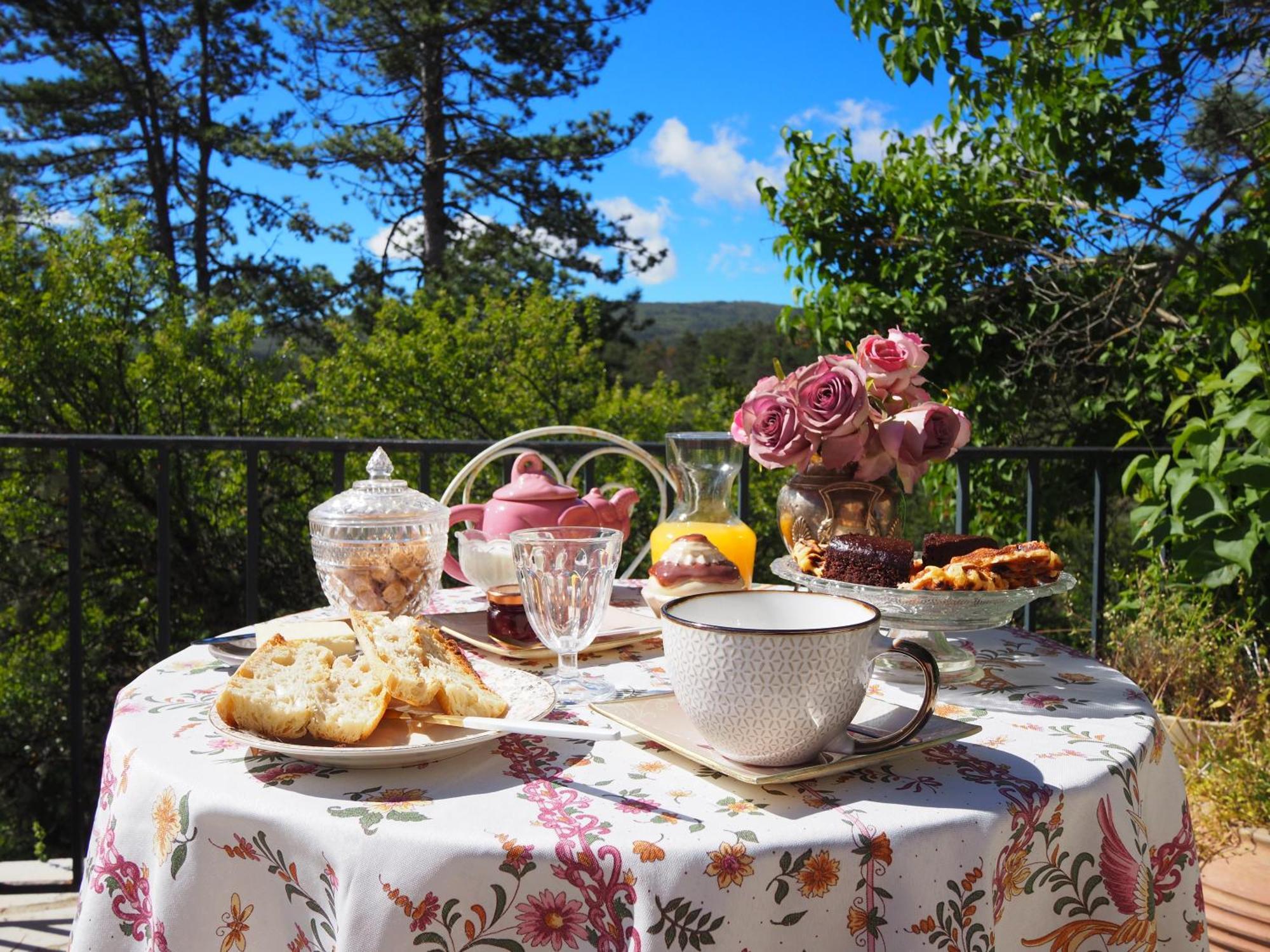 Chambre Familiale Avec Terrasse Aux Portes Du Verdon Apartment Тригaнс Екстериор снимка